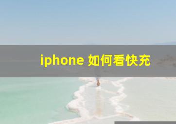 iphone 如何看快充